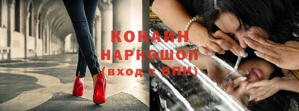 трава Наволоки
