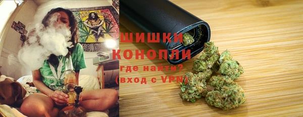трава Наволоки